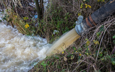 Winter Haven Leak Detection